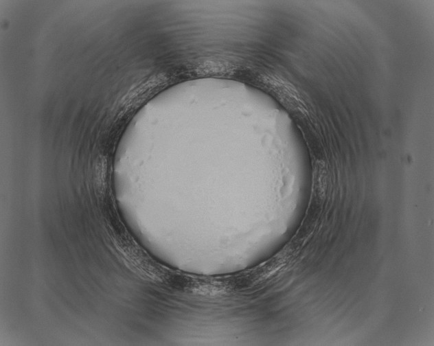 X0000087360550200705181154