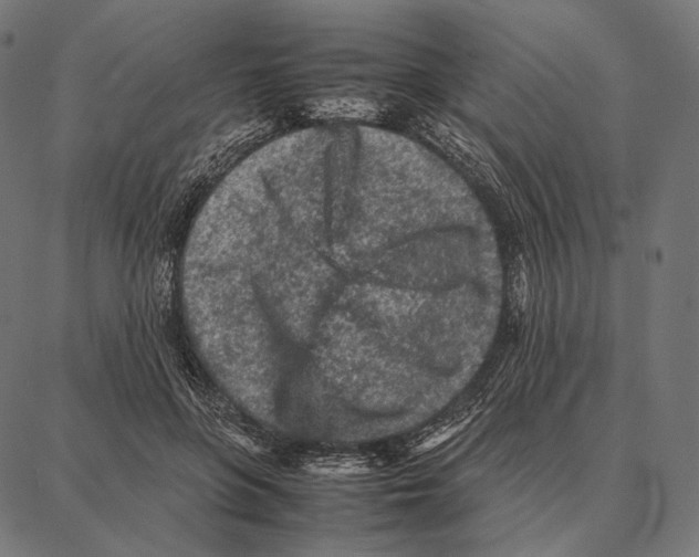 X0000087360551200705181154