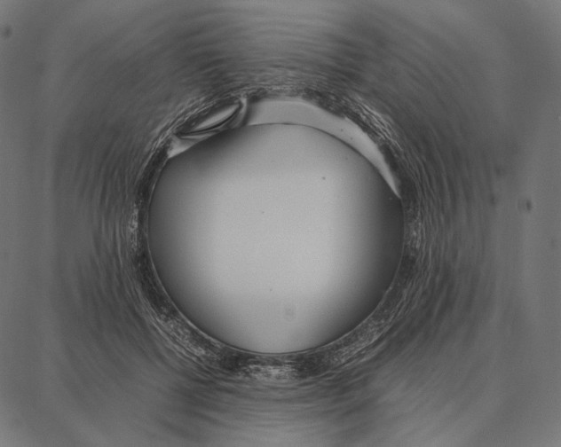 X0000087360552200705181154