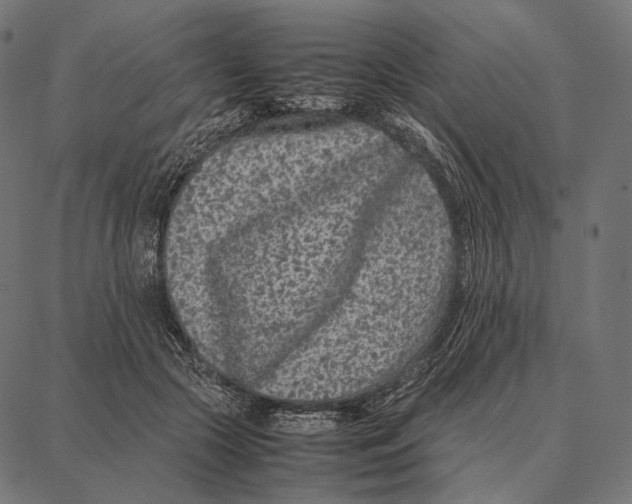 X0000087360553200705181154