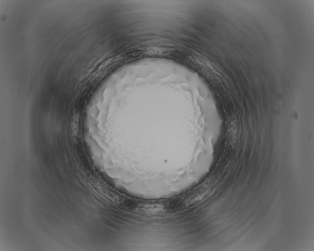 X0000087360554200705181154