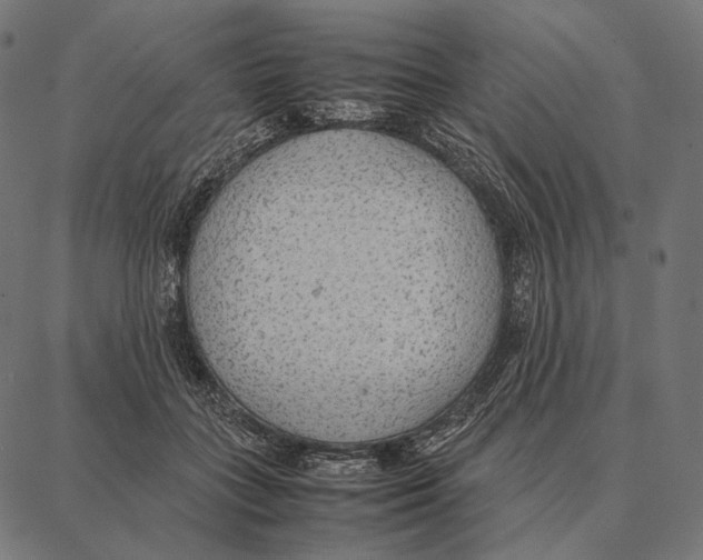 X0000087360555200705181154