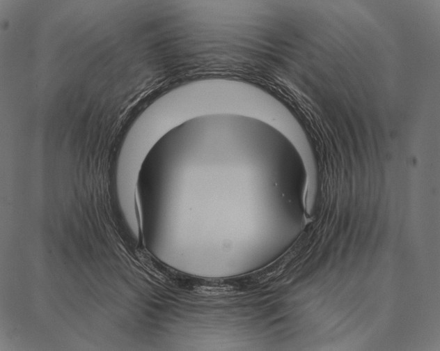 X0000087360556200705181154