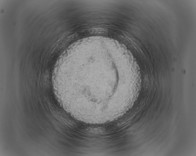 X0000087360557200705181154