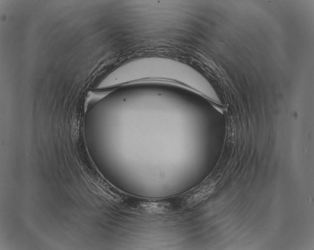 X0000087360558200705181154