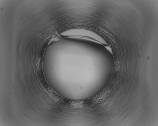 X0000087360560200705181154