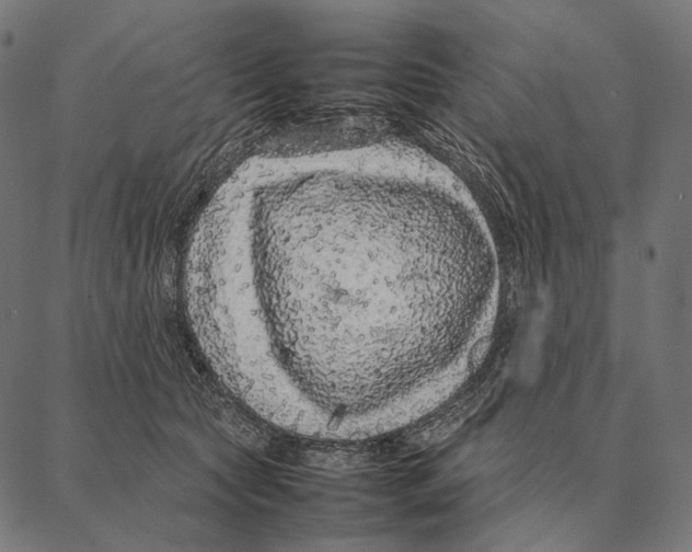 X0000087360561200705181154