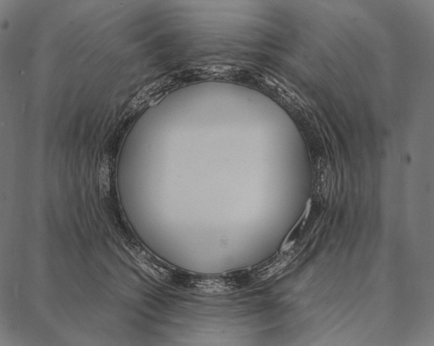 X0000087360562200705181154