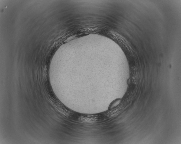 X0000087360563200705181154