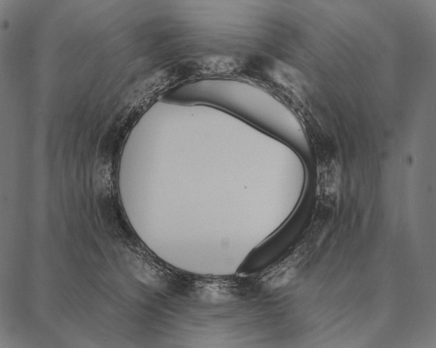 X0000087360564200705181154