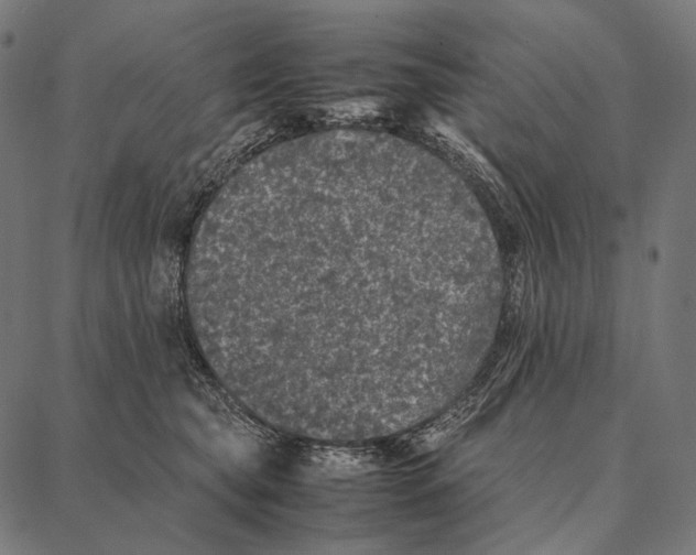 X0000087360565200705181154