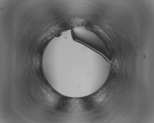 X0000087360566200705181154