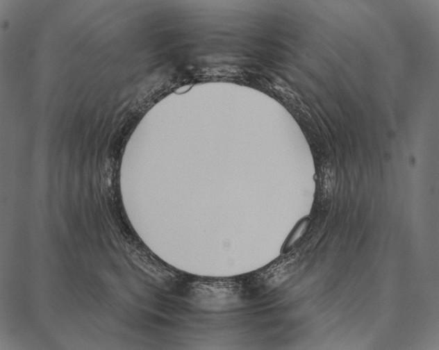 X0000087360567200705181154