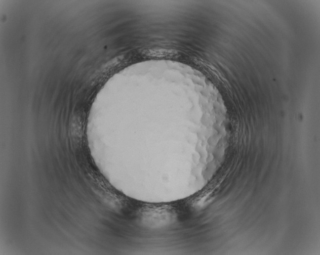 X0000087360569200705181154