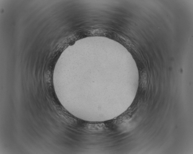 X0000087360571200705181154