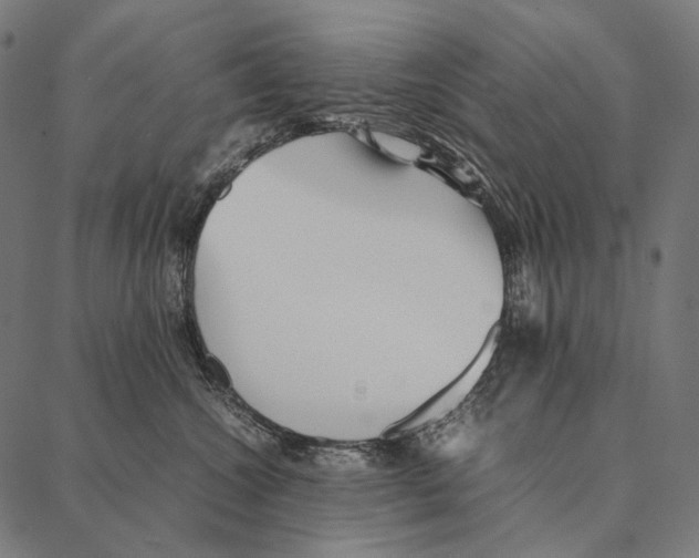 X0000087360572200705181154