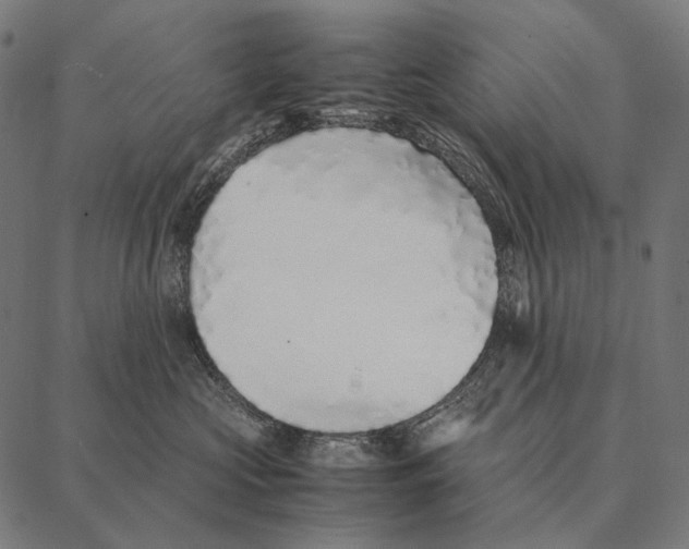 X0000087360573200705181154