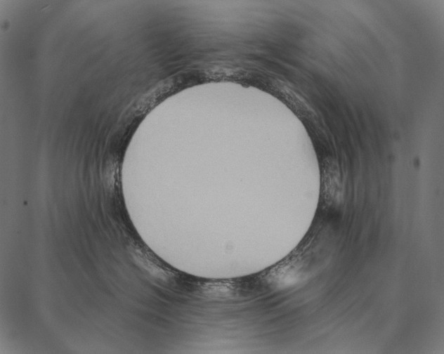 X0000087360574200705181154