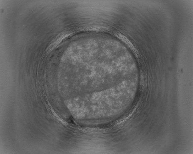 X0000087360577200705181154