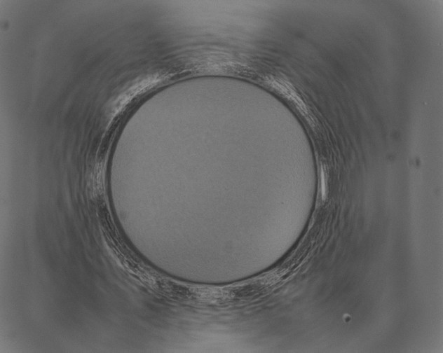 X0000087360579200705181154