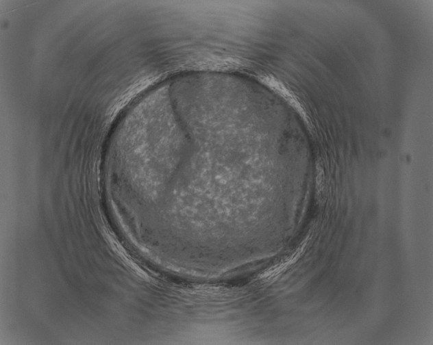 X0000087360581200705181154