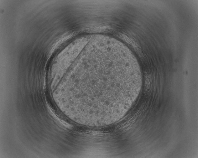 X0000087360582200705181154