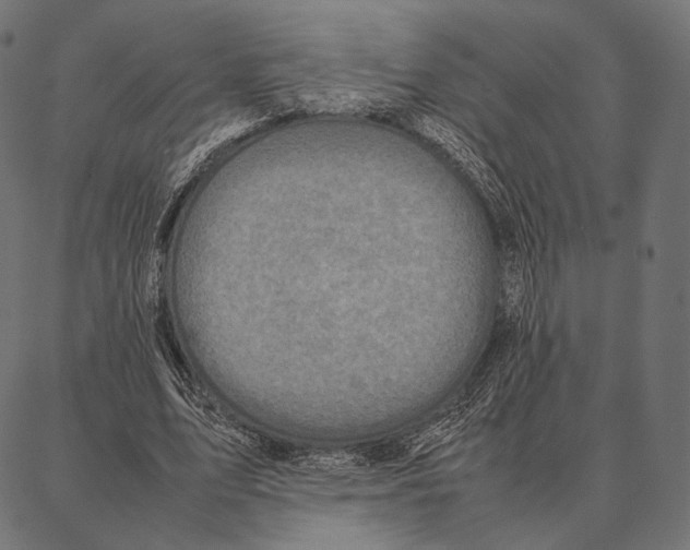 X0000087360583200705181154