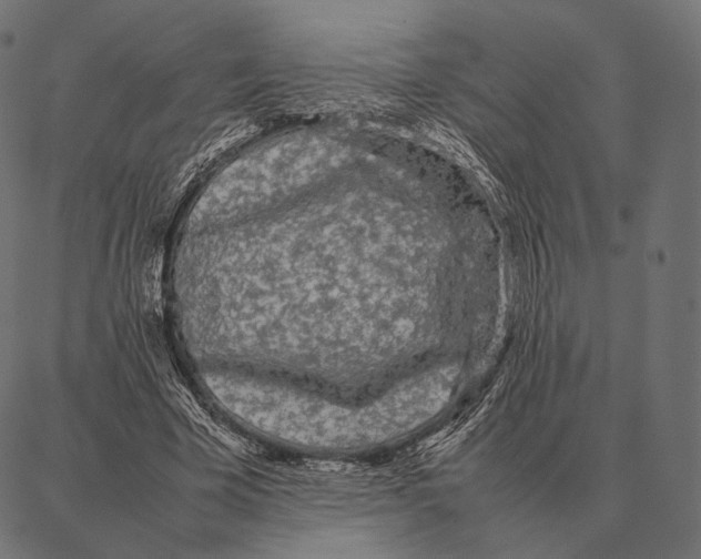 X0000087360585200705181153