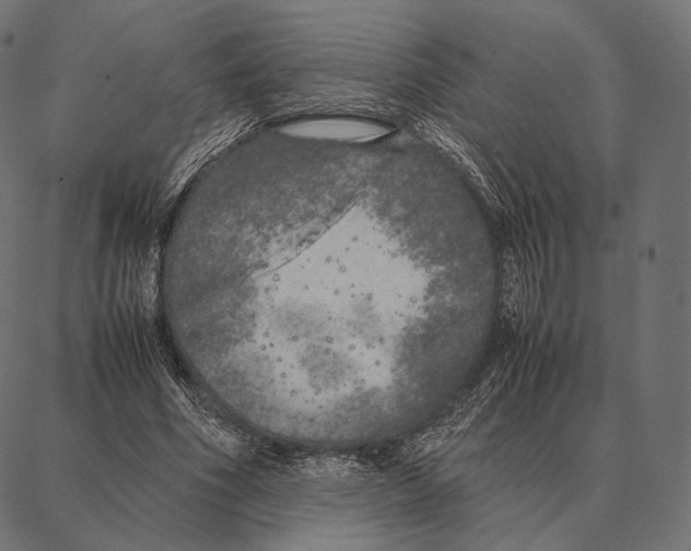 X0000087360586200705181153