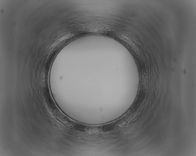 X0000087360587200705181153