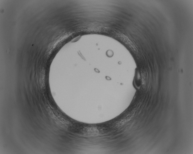 X0000087360588200705181153