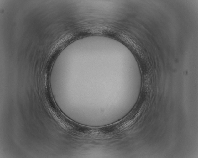 X0000087360589200705181153