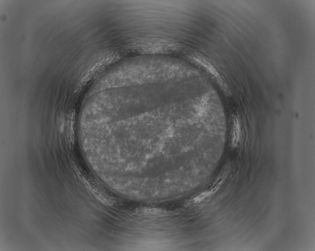 X0000087360590200705181153