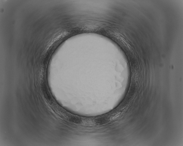 X0000087360591200705181153