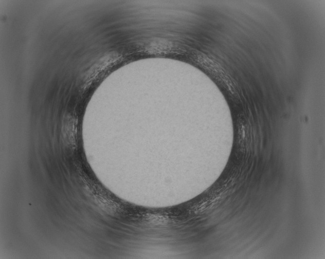 X0000087360592200705181153