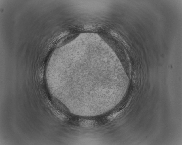 X0000087360593200705181153