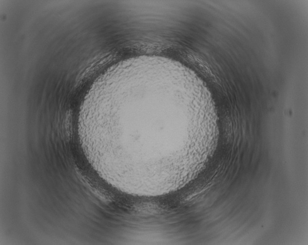 X0000087360594200705181153