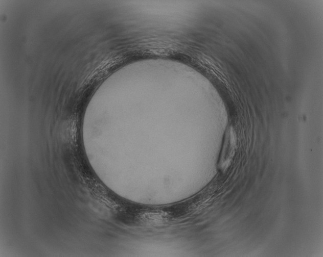 X0000087360595200705181153