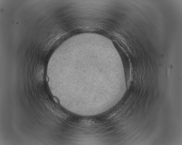 X0000087360596200705181153