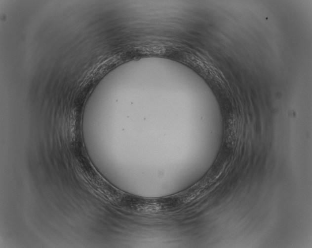 X0000087360600200705181153