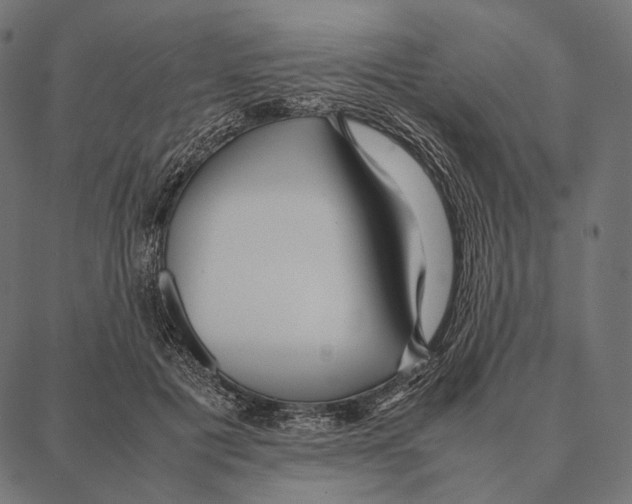 X0000087360601200705181153