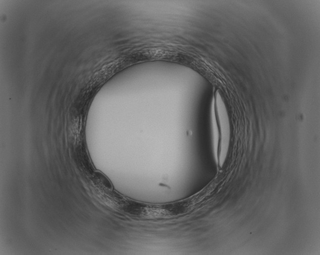 X0000087360605200705181153