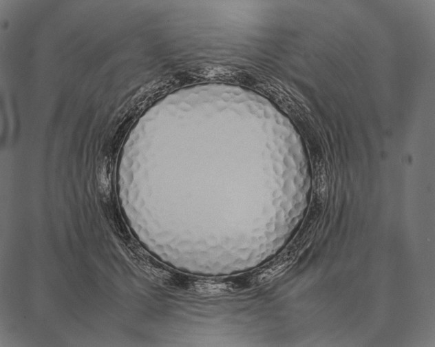 X0000087360607200705181153