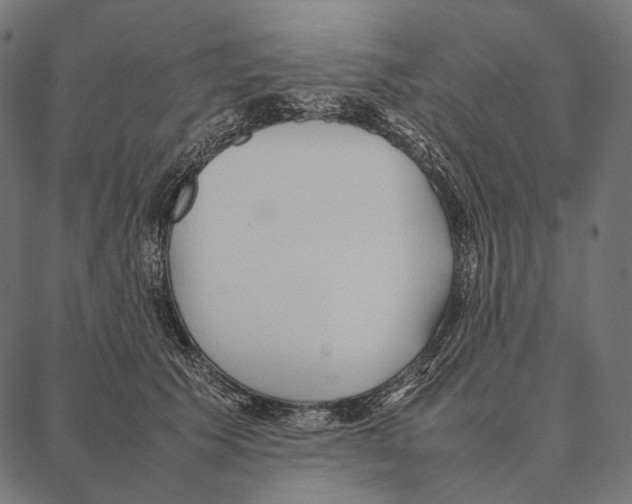 X0000087360609200705181153