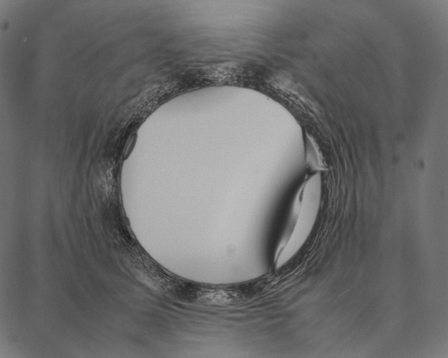 X0000087360611200705181153