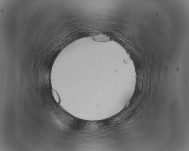 X0000087360613200705181153