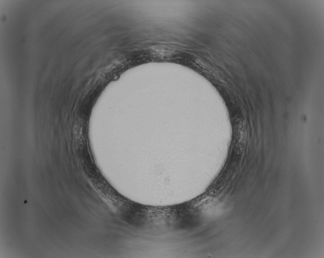 X0000087360615200705181153