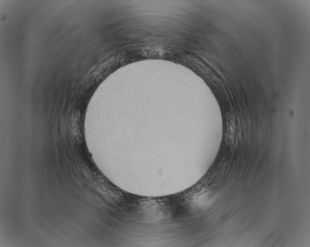 X0000087360616200705181153