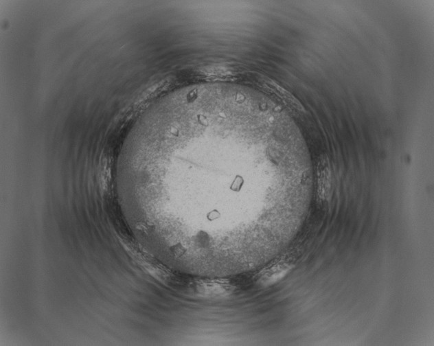 X0000087360618200705181153