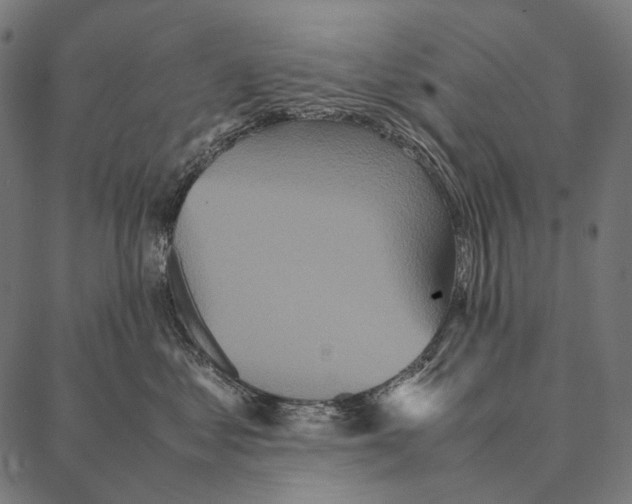 X0000087360621200705181153